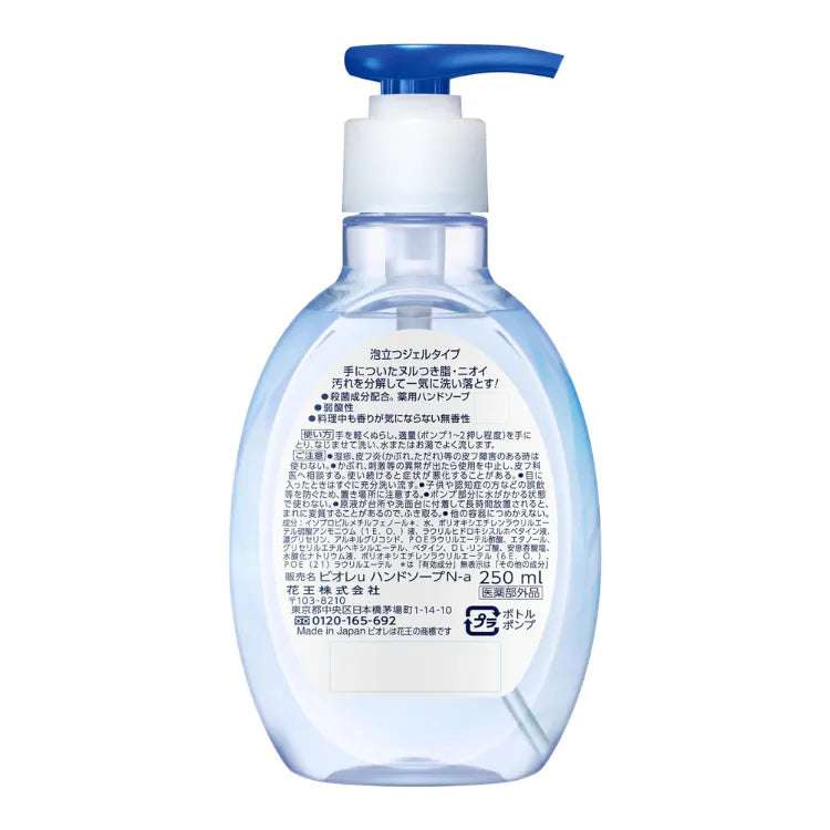 Bioré 日本製廚房用除油去味洗手液 250ml|弱酸性配方