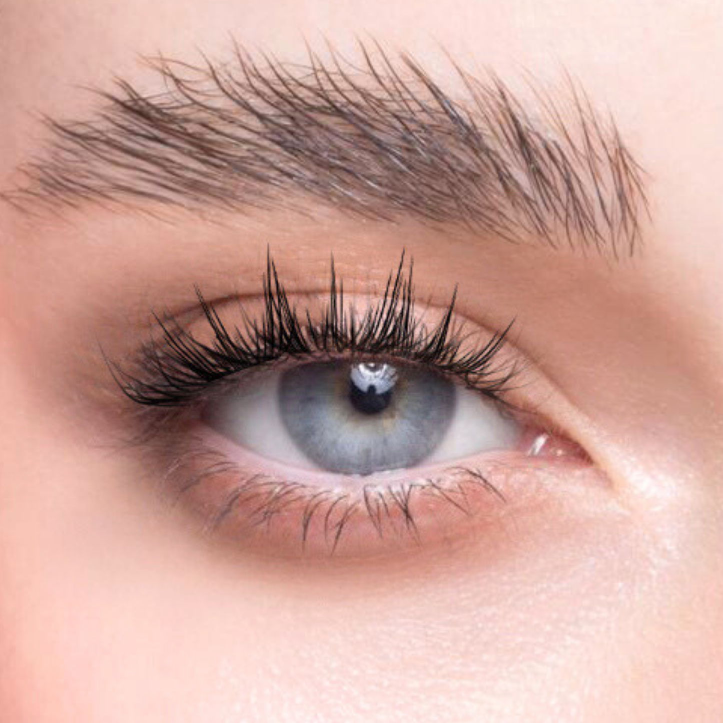 Char. Glue-Free False Eyelashes (White Moonlight Darling Macaron)
