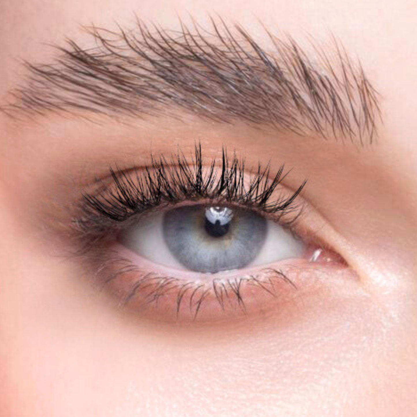 Char. Glue-Free False Eyelashes (Dreamy Dozen)