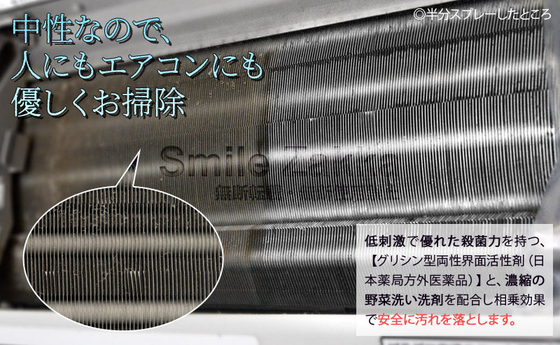 Japan Arnest Niigata Prefecture Air Conditioner Disinfecting and Deodorizing Spray 420ml · Four-in-one: Anti-mold, disinfecting, and deodorizing · Reduces mold after use