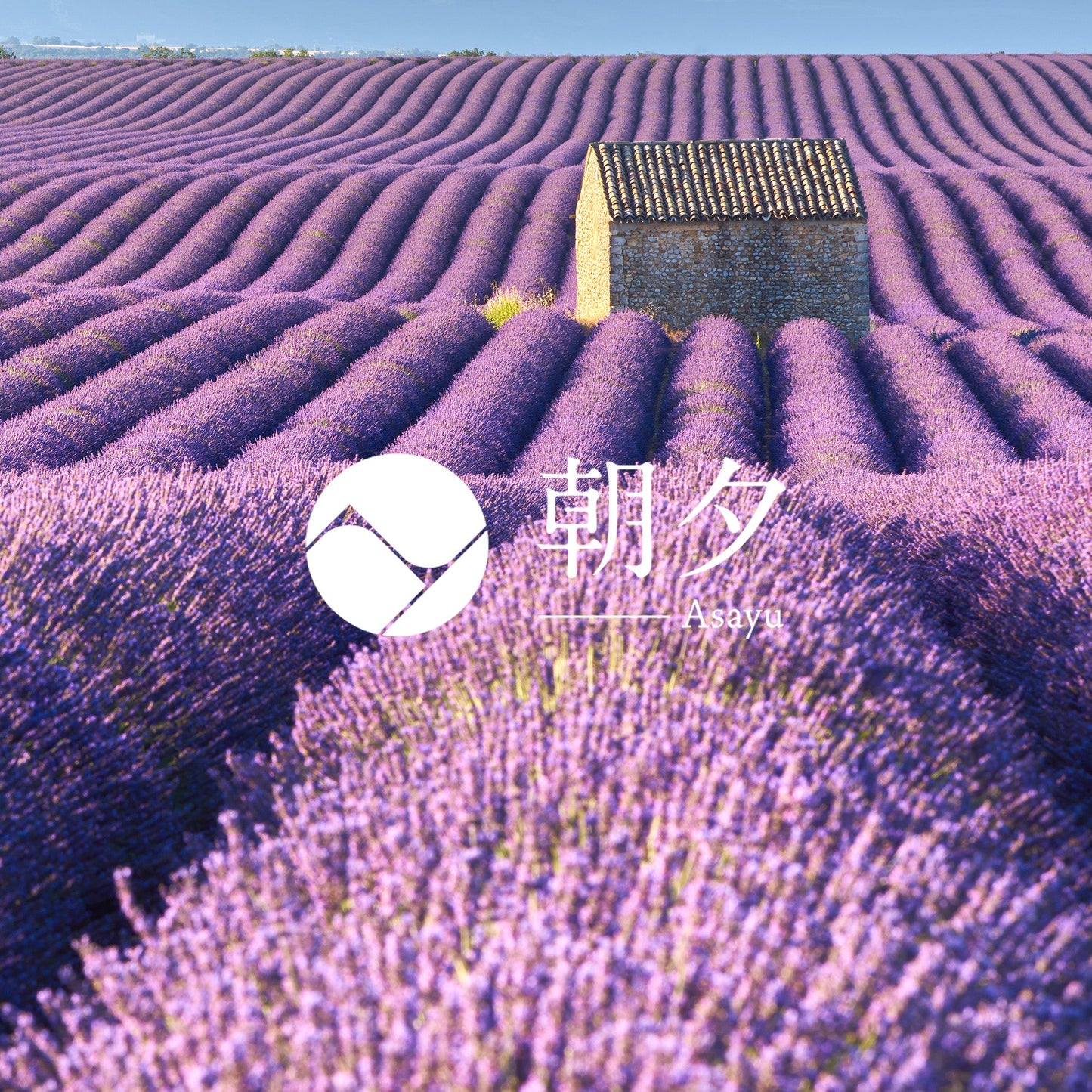 日本Asayu 兵庫縣 【薰衣草】低煙香線 20克 | 天然香氣 | 淨化療癒