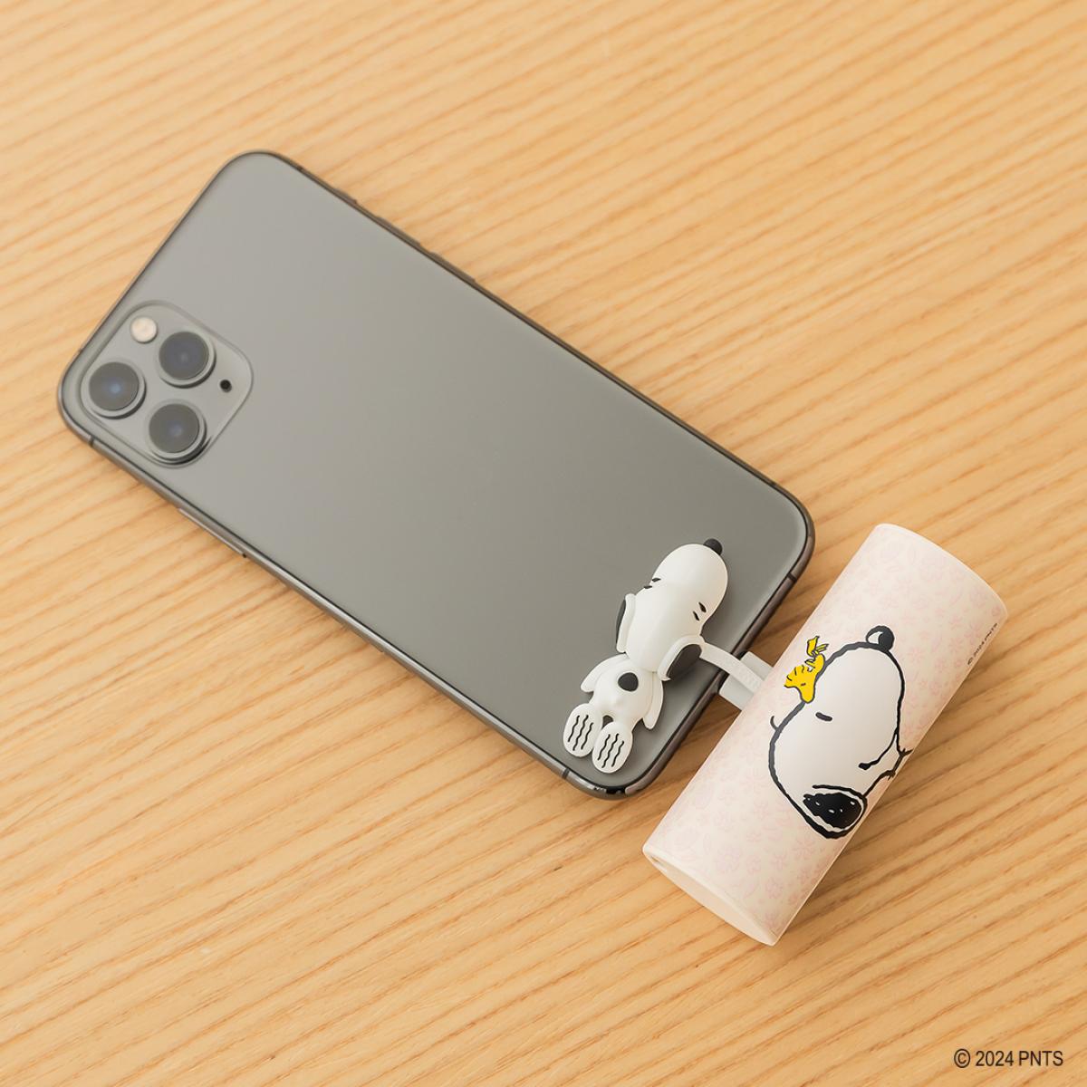 迪士尼角色隨身充電小幫手 – 直插式20W快充行動電源系列