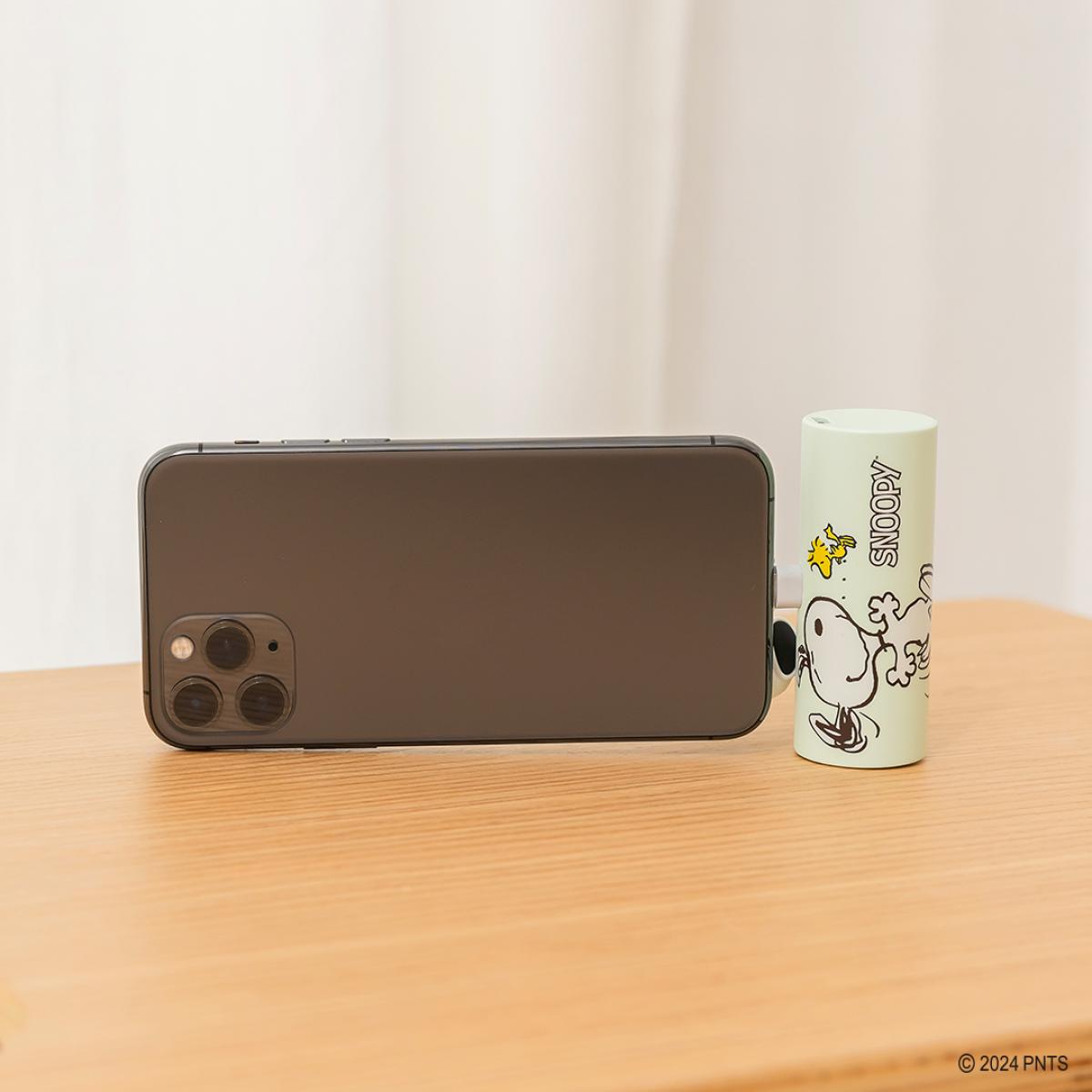 迪士尼角色隨身充電小幫手 – 直插式20W快充行動電源系列