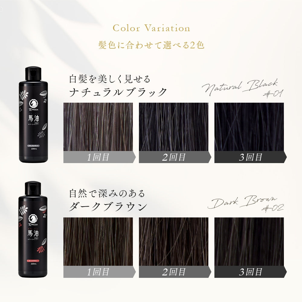 Aimedia PROSIA 日本製馬油染色洗髮露 220ml｜漸進白髮上色・自然黑／深棕