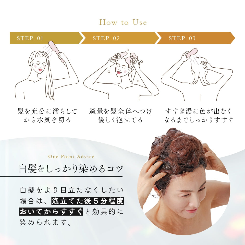 Aimedia PROSIA 日本製馬油染色洗髮露 220ml｜漸進白髮上色・自然黑／深棕