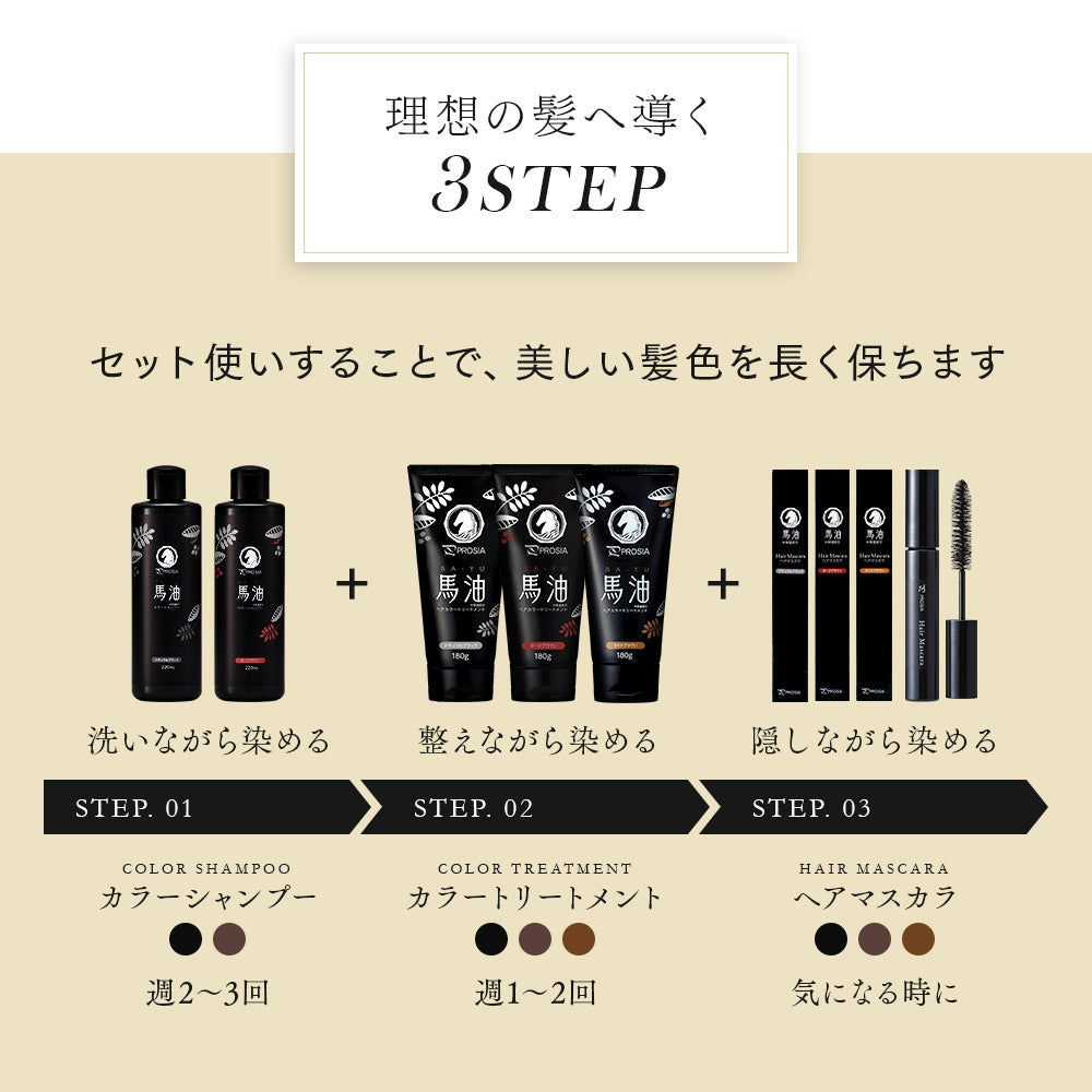 Aimedia PROSIA 日本製馬油染色洗髮露 220ml｜漸進白髮上色・自然黑／深棕