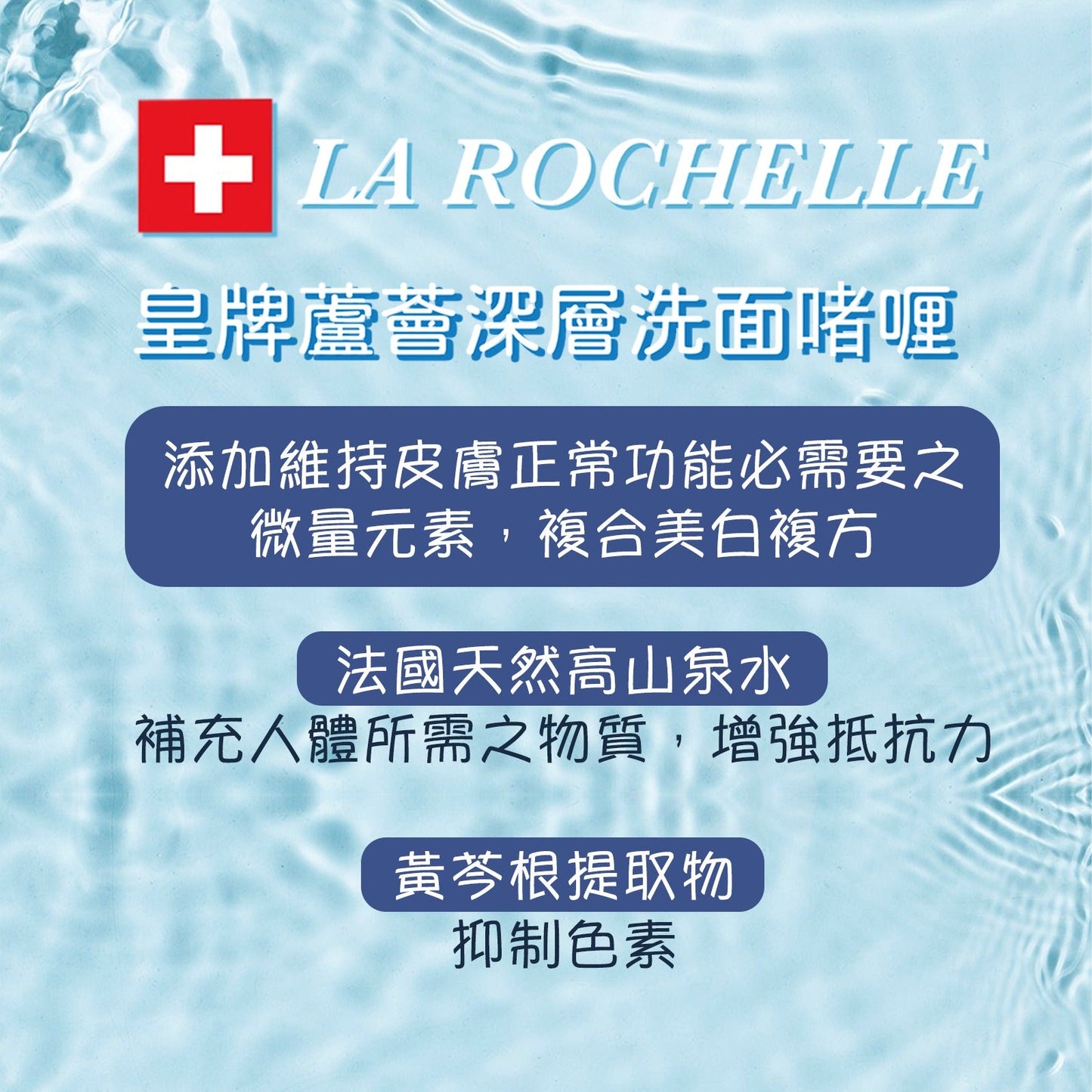 【經典組合】LA ROCHELLE  歌麗姬寶 皇牌蘆薈深層洗面啫喱 LA ROCHELLE ONE STEP EXPRESS CLEANSING GEL NEW FORMULA (ALOE VERA, BOTANICAL EXTRACT , COMPLEX B)  250ml