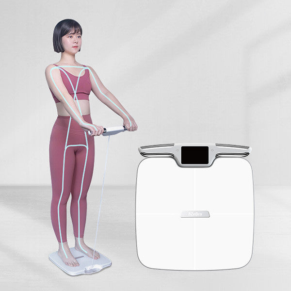 【In stock】8-Electrode Body Fat Scale (Professional Model) | Taiwan 3ZeBra 3Body Pro