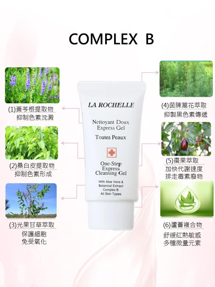 【經典組合】LA ROCHELLE  歌麗姬寶 皇牌蘆薈深層洗面啫喱 LA ROCHELLE ONE STEP EXPRESS CLEANSING GEL NEW FORMULA (ALOE VERA, BOTANICAL EXTRACT , COMPLEX B)  250ml