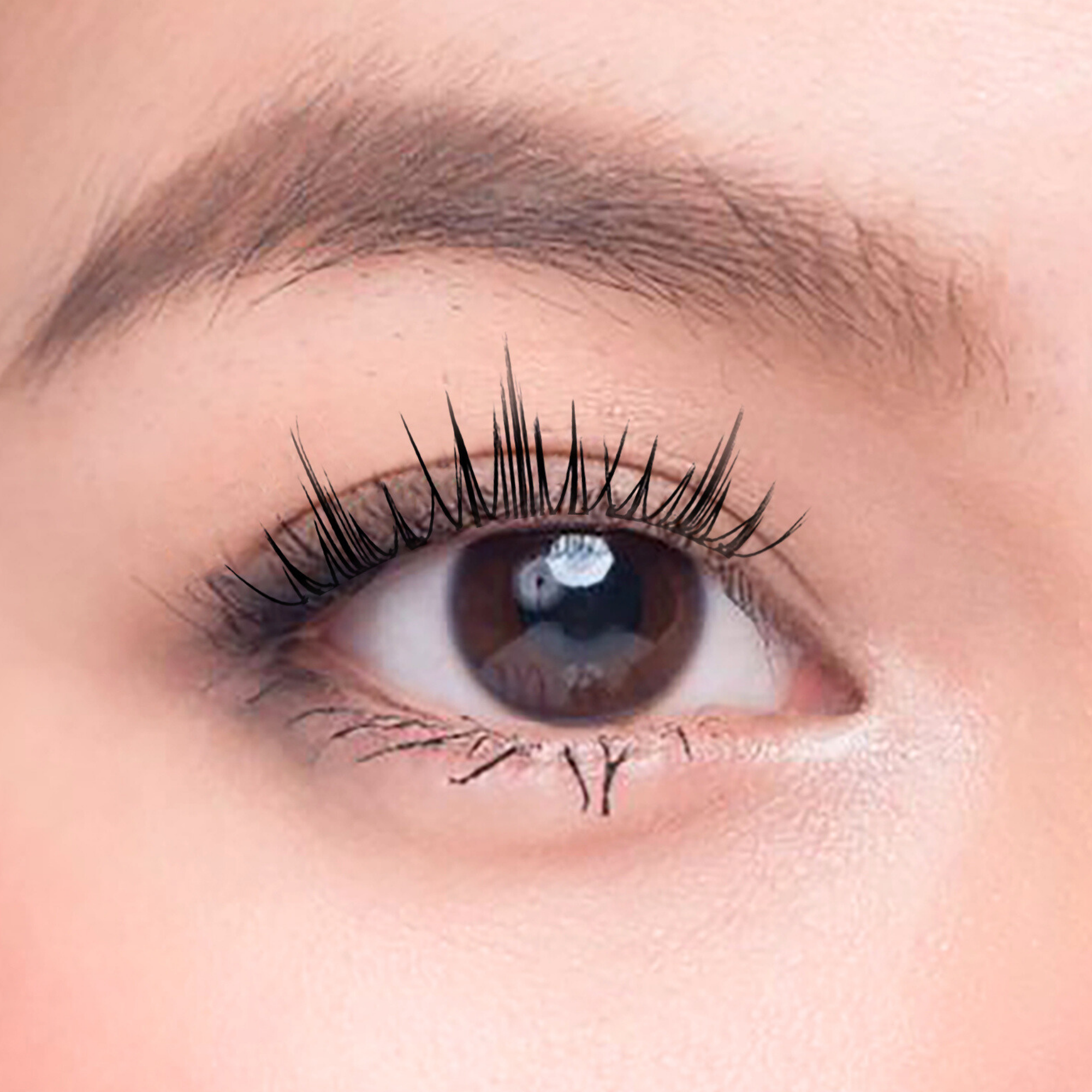 Char. 免膠水假眼睫毛 (白月光 Berry Blink)