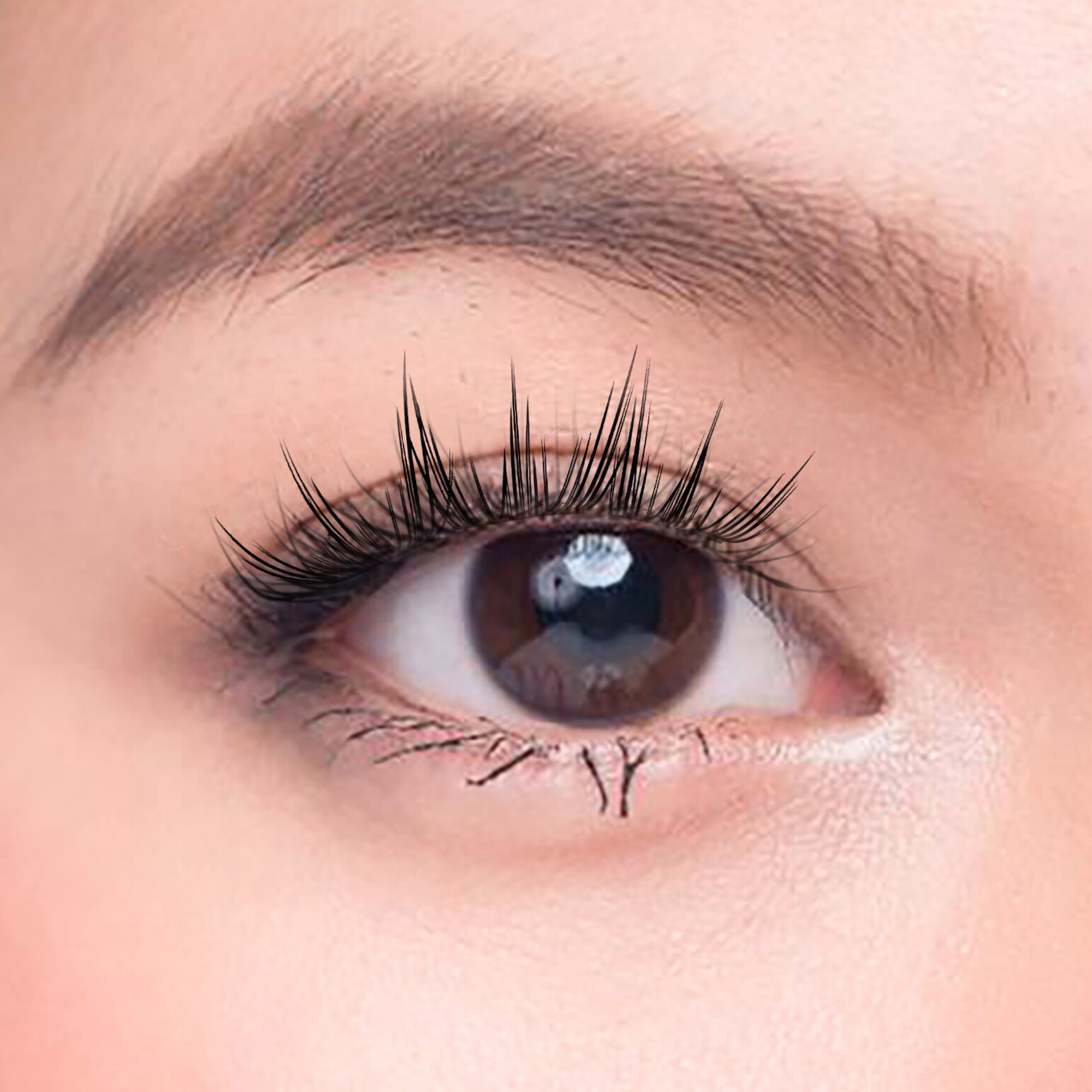 Char. 免膠水假眼睫毛 (白月光 Darling Macaron)