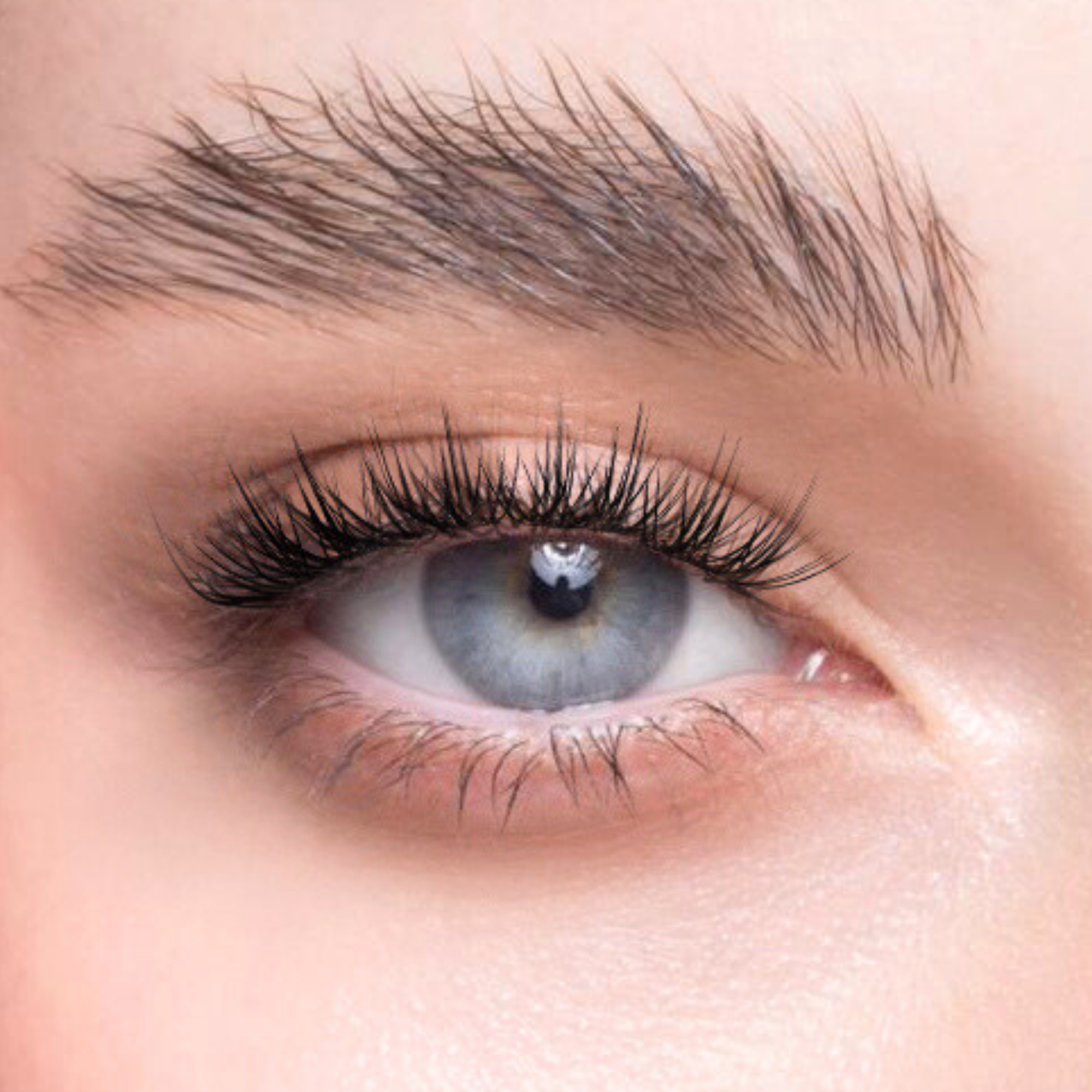 Char. 免膠水假眼睫毛 (白月光 Fluffy Petit)