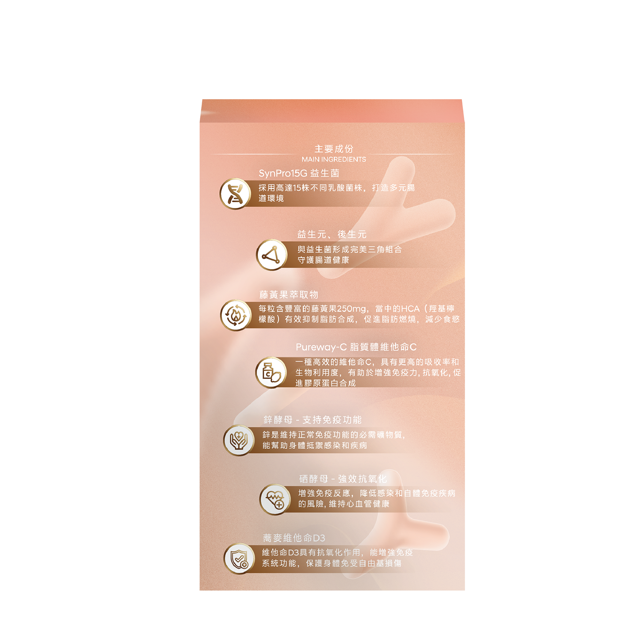 康之森 Healthy Woods SynPro-15G 全方位多元益生菌膠囊