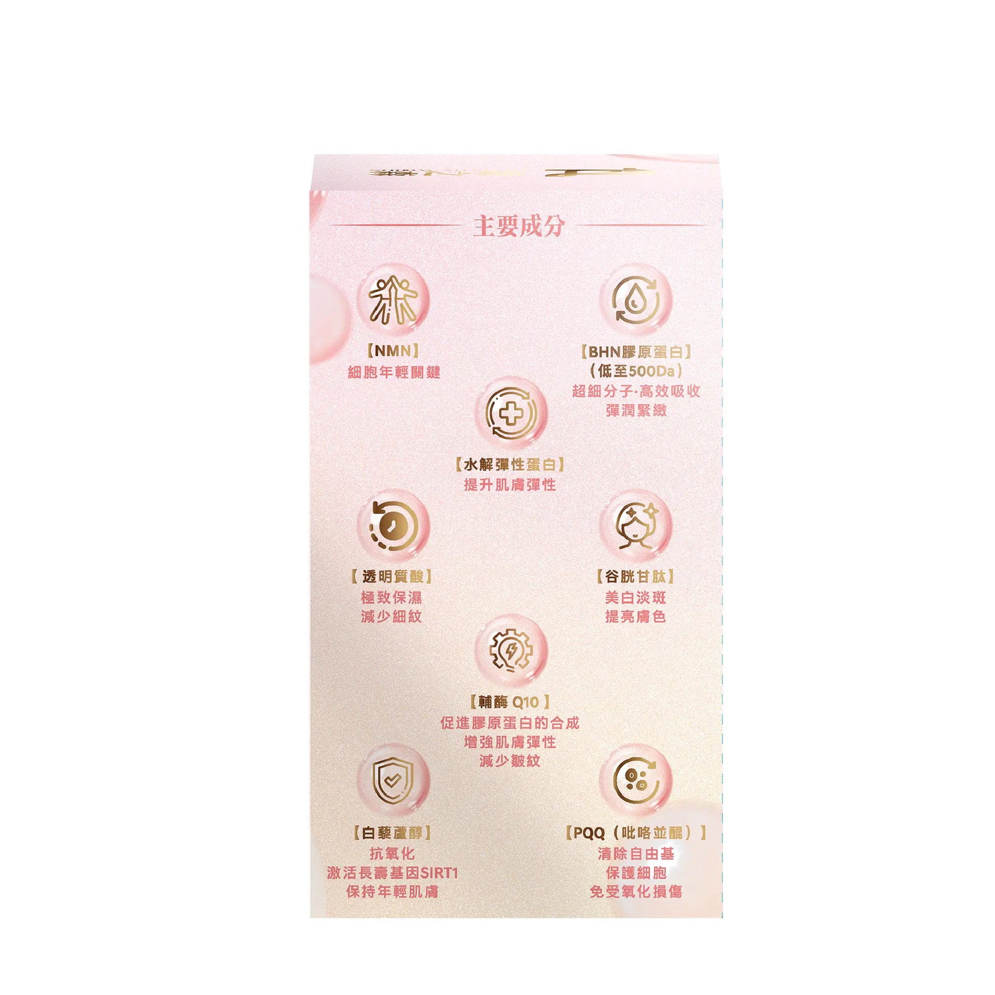 康之森 極緻青春膠原蛋白＋NMN My Store