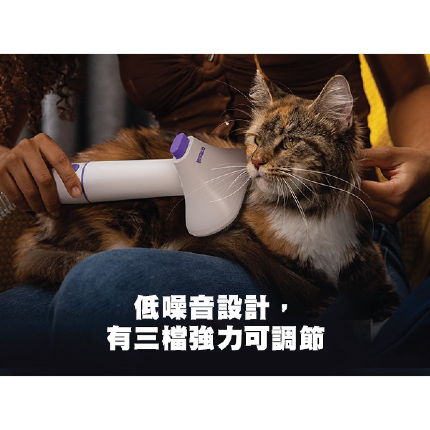 一機多用無線寵物吸毛器 | ONEISALL BM5