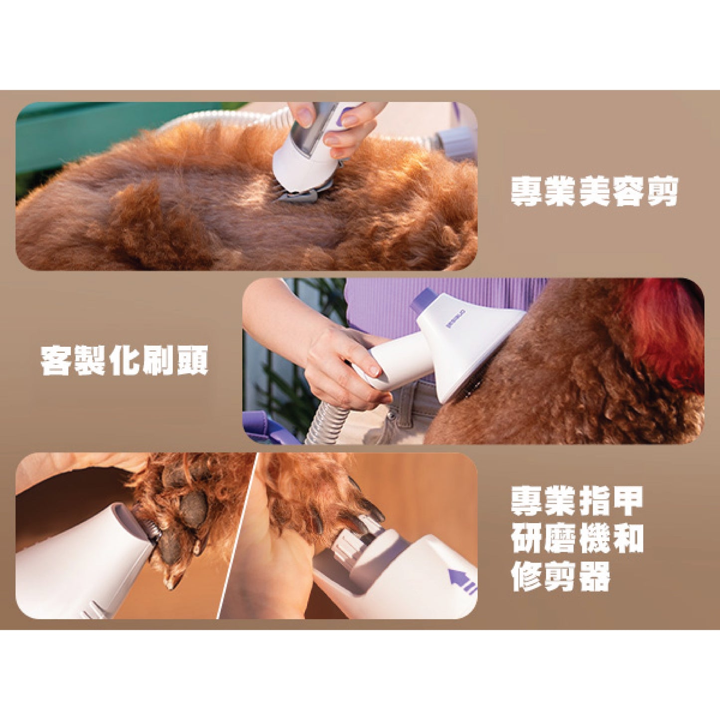 一機多用無線寵物吸毛器 | ONEISALL BM5