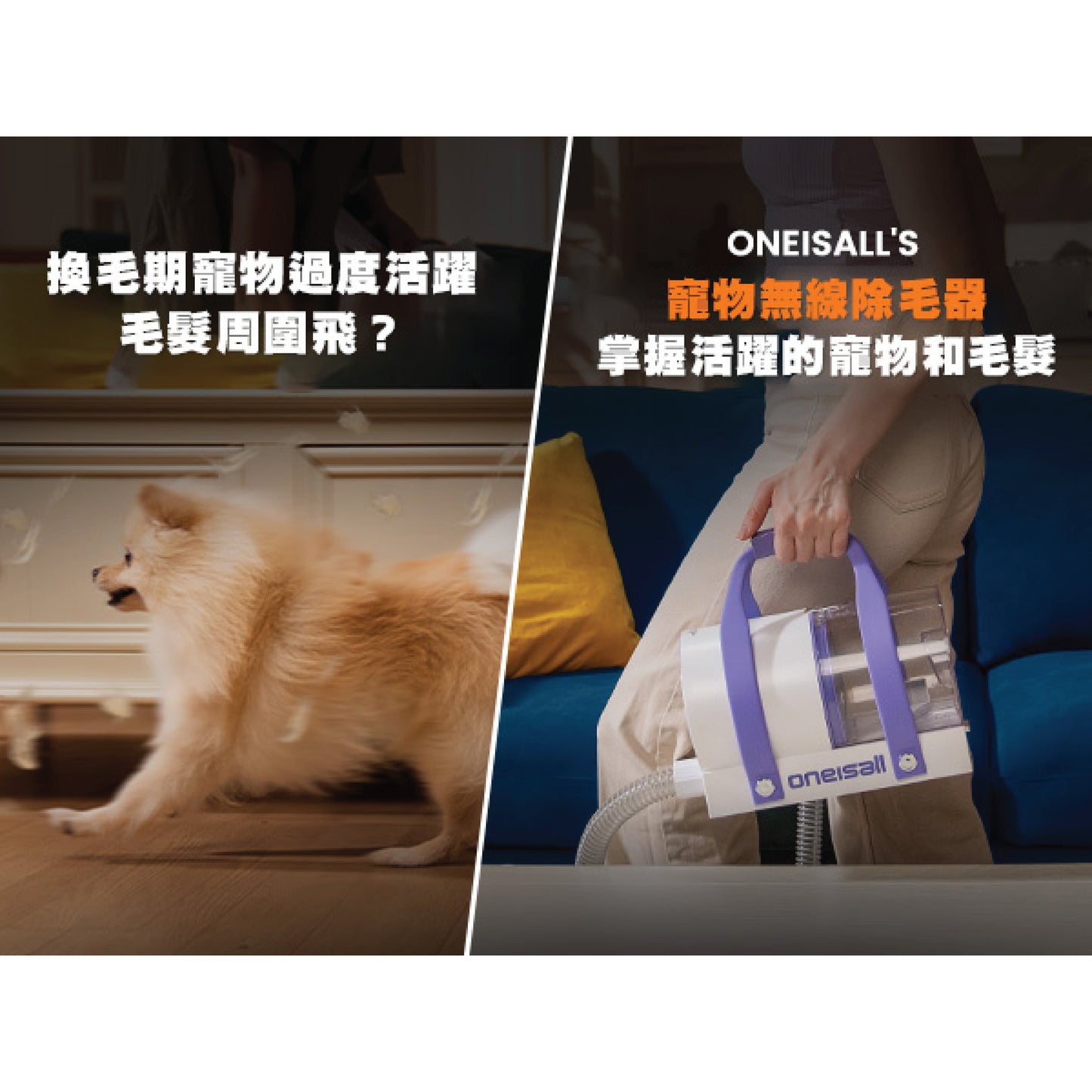 一機多用無線寵物吸毛器 | ONEISALL BM5