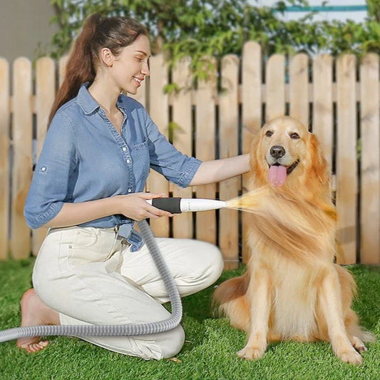 寵物美容真空吸毛器 | Oneisall KYLE │吹毛 吸毛 梳毛 順毛 剪毛