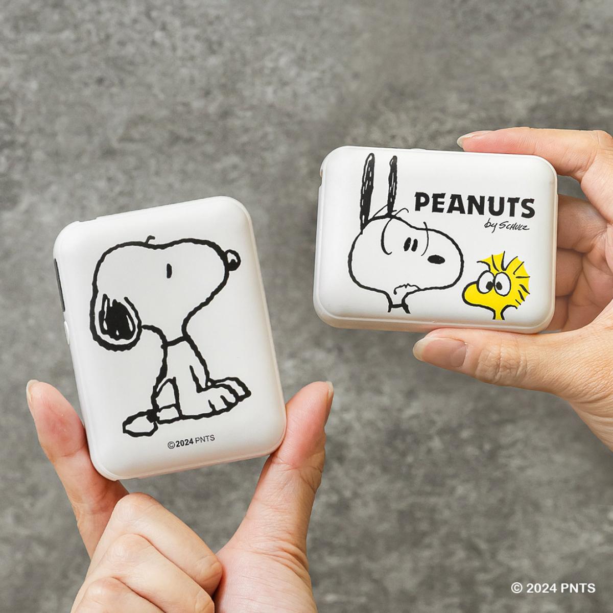 迪士尼怪獸電力公司系列PD-910智慧型快充行動電源 – 毛怪與小蘇的能量魔法