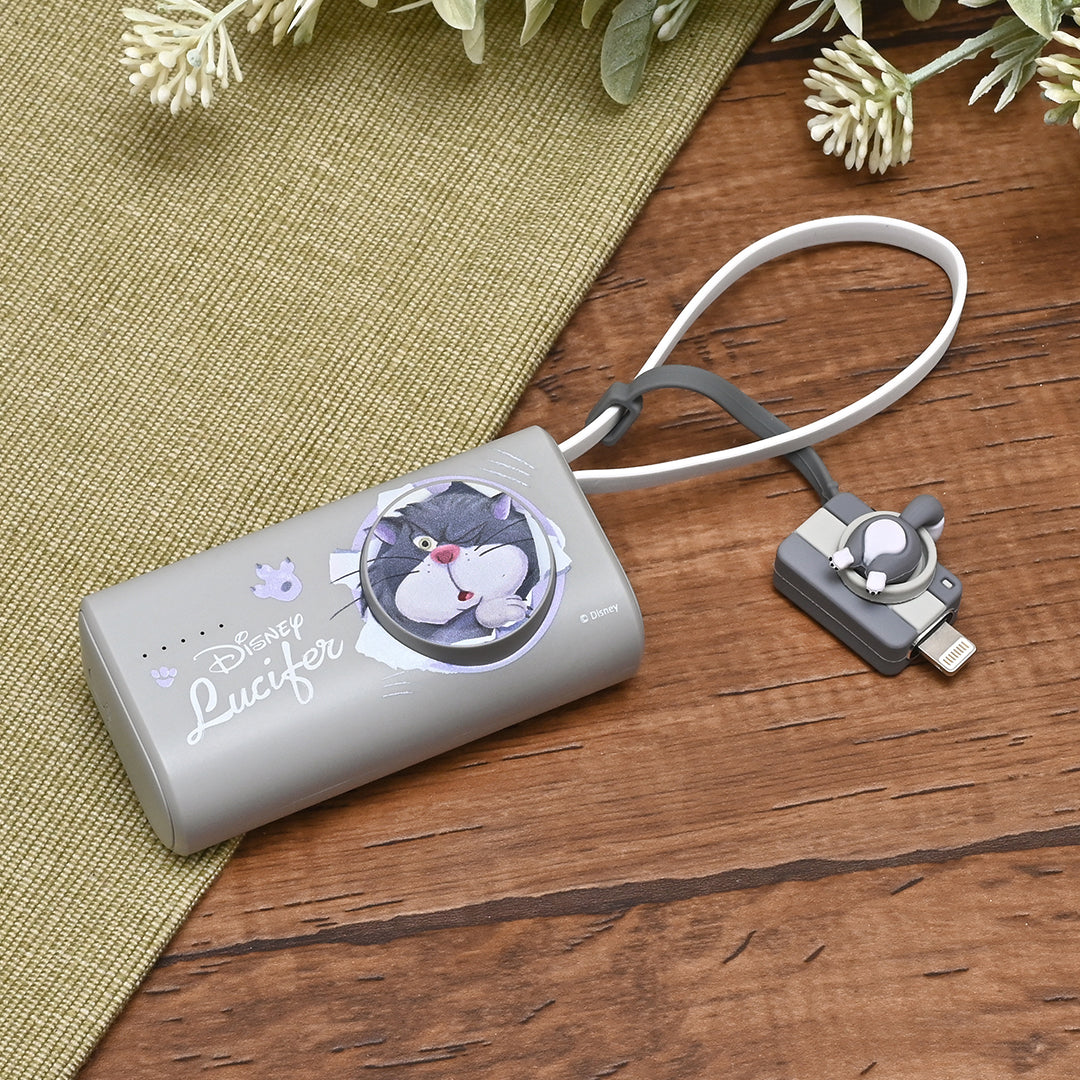 迪士尼角色隨身充電小幫手 – 直插式20W快充行動電源系列