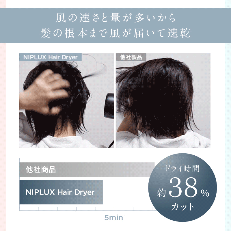 【日本電壓】NIPLUX Hair Dryer 負離子吹風機｜大風量 × 5 秒冷熱自動切換｜約 550g｜日本插頭・AC 100V 專用