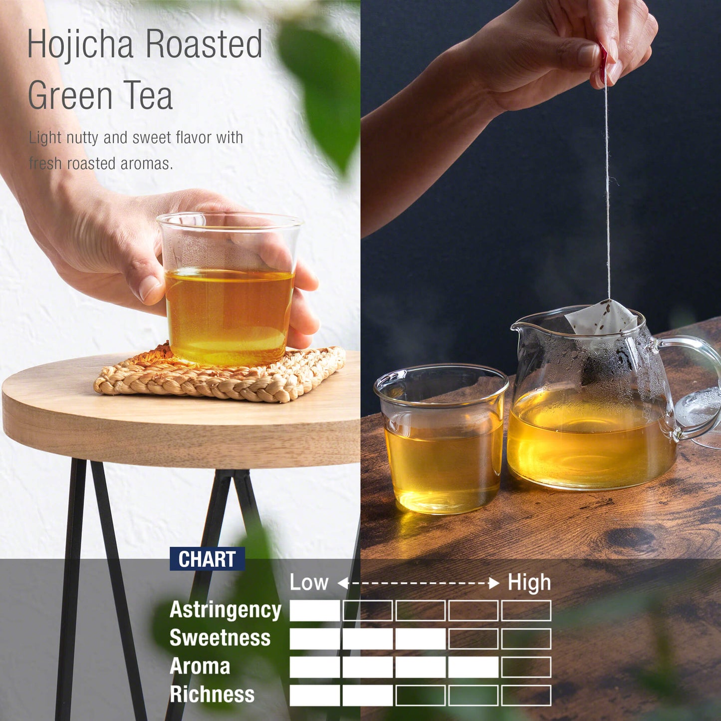 日本Asayu靜岡・富士山麓 焙茶綠茶（15茶包） | 頂級茶葉 | 醇厚回甘