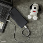 迪士尼絨毛抱抱夾的溫暖充電魔法 – 超可愛Lightning快充傳輸線系列