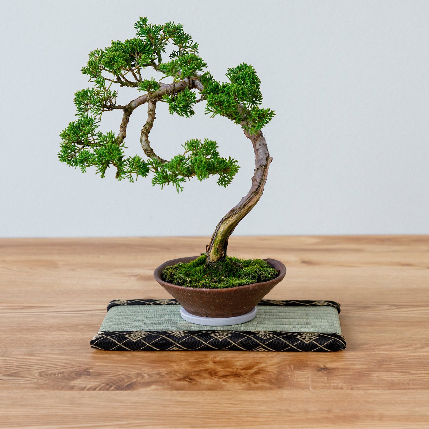 日本Asayu 迷你榻榻米墊  採用正宗藺草製成（黑色） | 天然藺草 | 透氣舒適