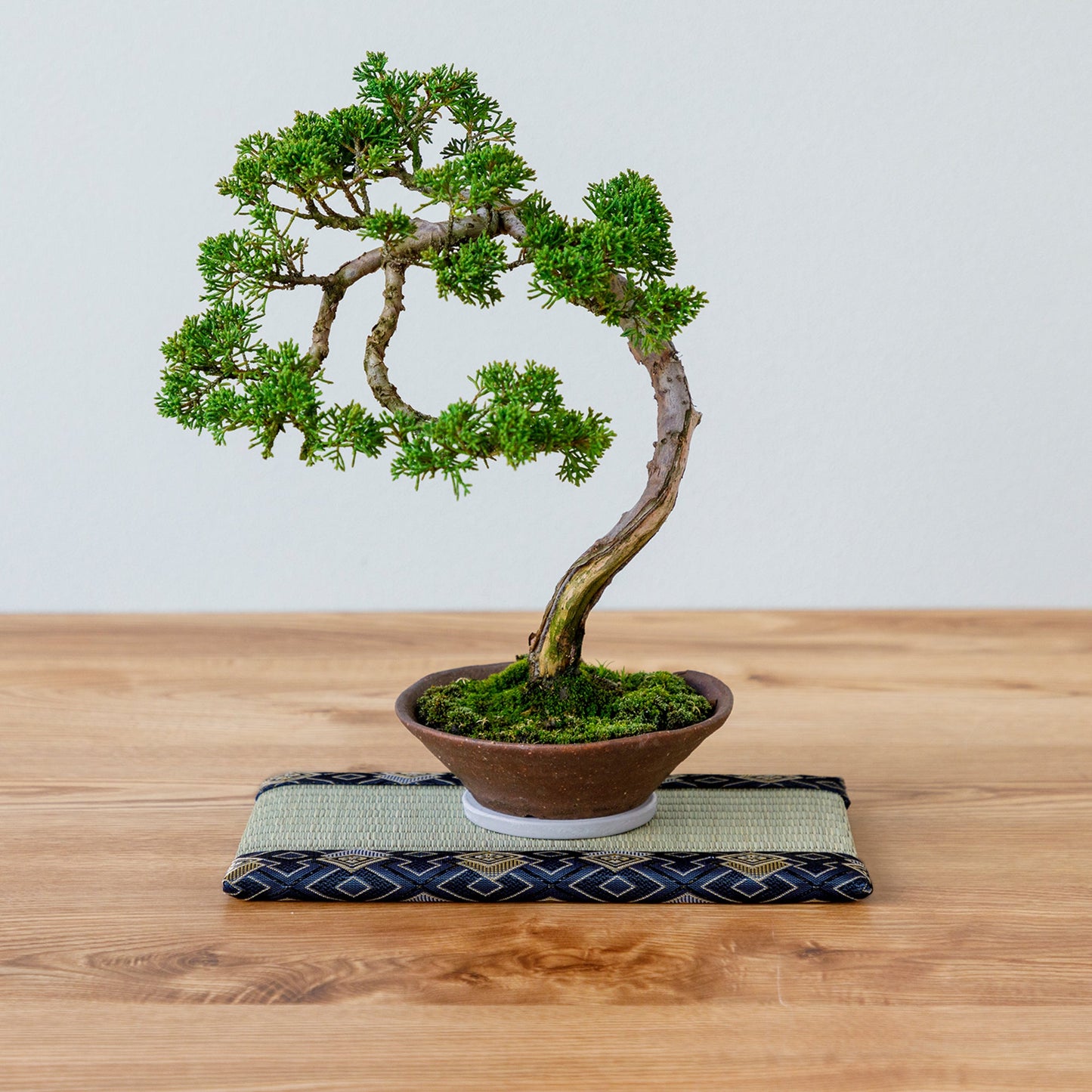 日本Asayu 迷你榻榻米墊  採用正宗藺草製成（藍色） | 天然藺草 | 透氣舒適